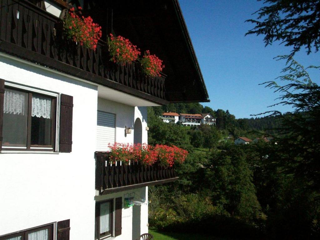 Zum Fliegenden Hollander Casa de hóspedes Zwiesel Exterior foto